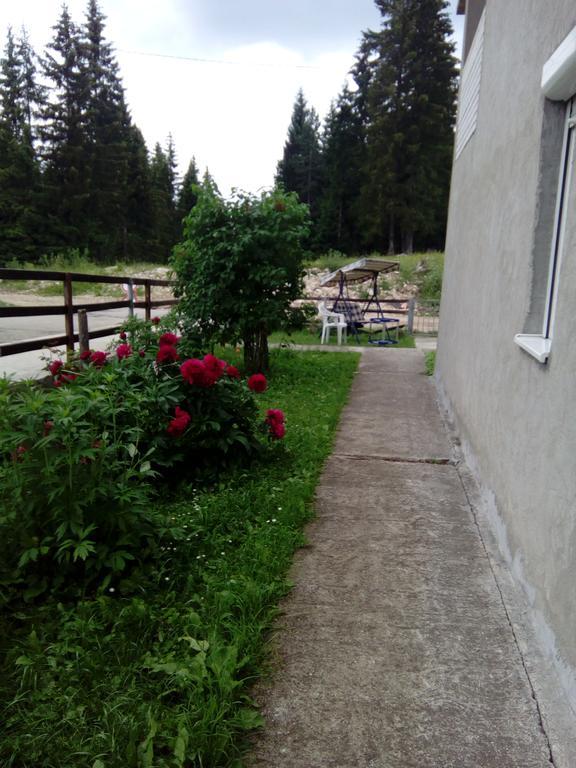 Guesthouse Andreja A Žabljak Extérieur photo